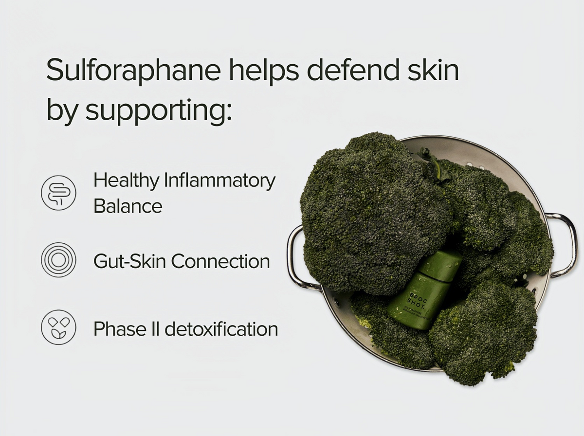 Broc Shot Original Sulforaphane Powder, Active Sulforaphane for Skin Health